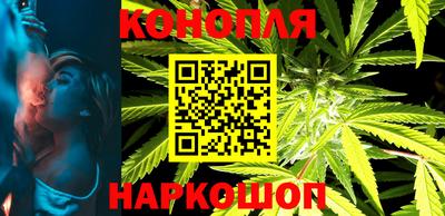 прущие грибы Бийск