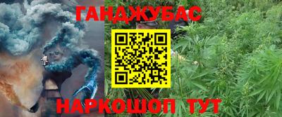 прущие грибы Бийск
