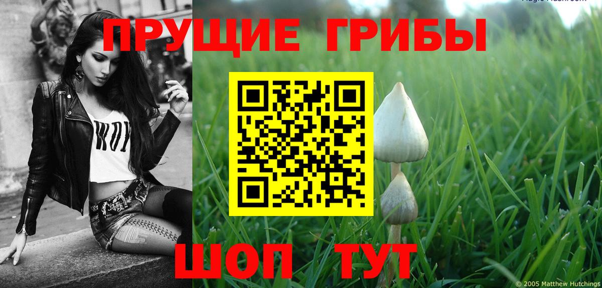 Касимов  Псилоцибиновые грибы мухоморы  Вход с VPN 